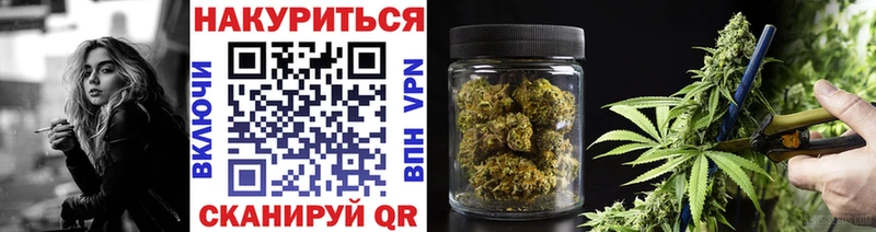 Конопля семена  купить наркотик  Печора 